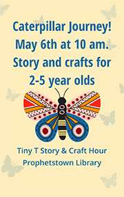 Tiny T story hour graphic